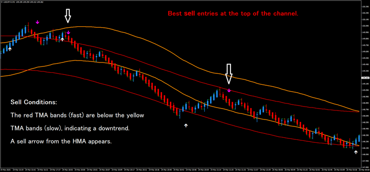 Double TMA Renko Scalping Strategy