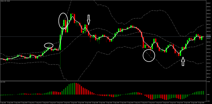 Neptune Trading System