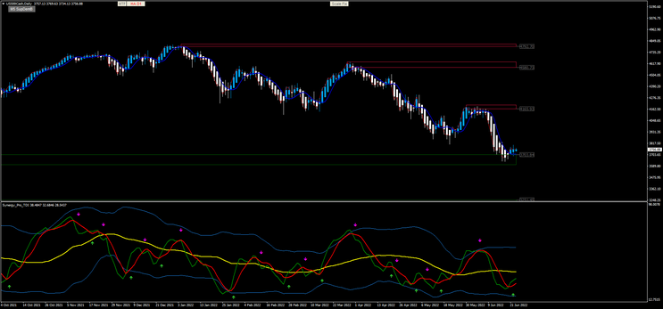 Swing Master Forex