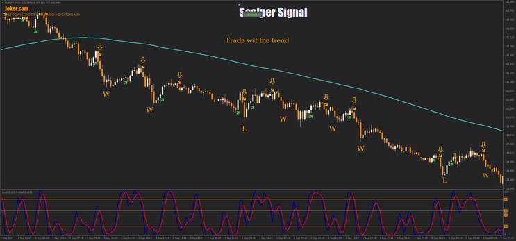 Scalper Signal trade with the trend