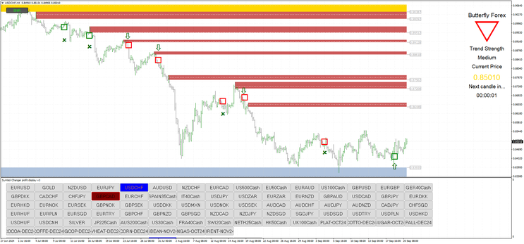  The Butterfly Forex System