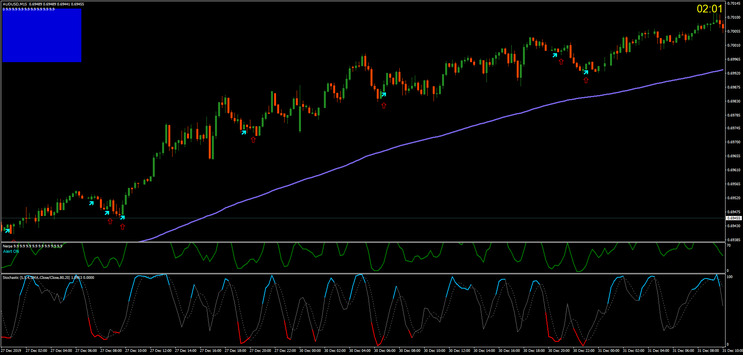 Nerpa  for Scalping, Day trading