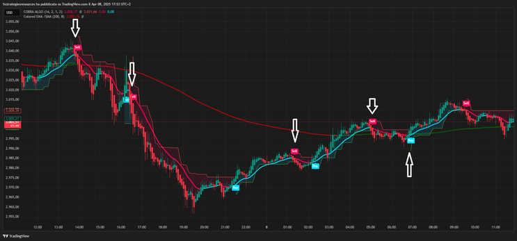 Cobra Algo Trading Strategy TradingView
