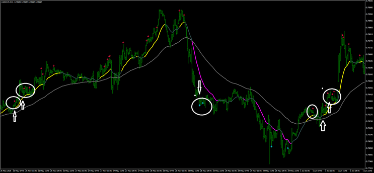 The Hoffman Pullback System