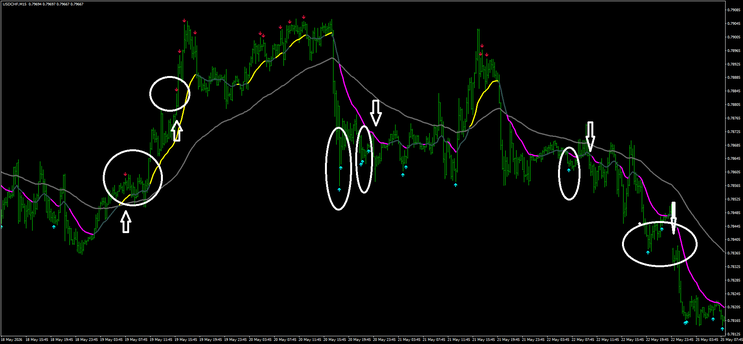 The Hoffman Pullback System