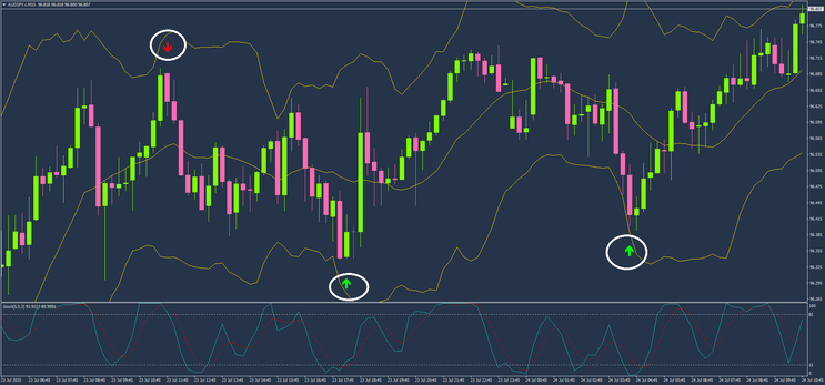 Bollinger-Stoch Reversal Trasding  Strategy  