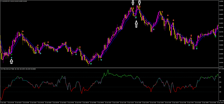 Binary Shark Trading System