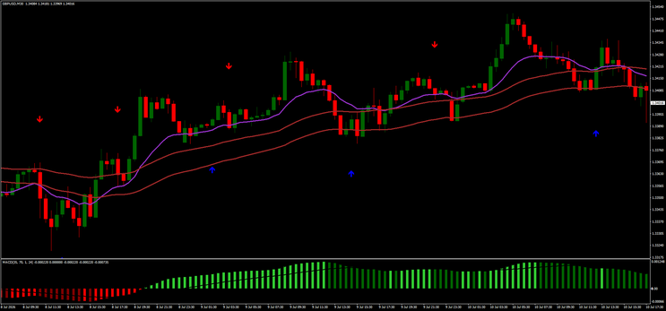 Delta River Scalping