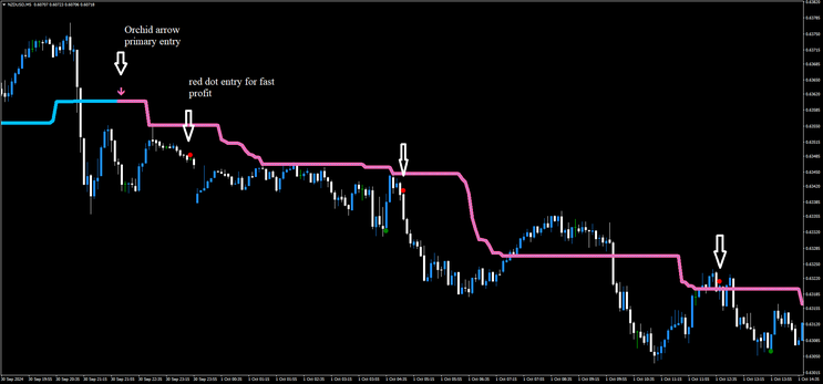 Algo Scalper Forex Strategy