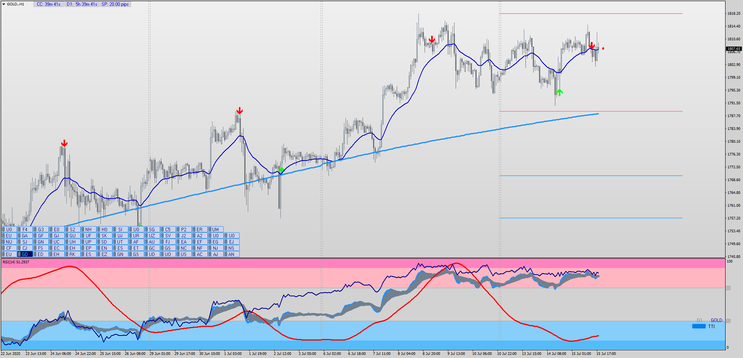 Papaya Trading System  MT 4 