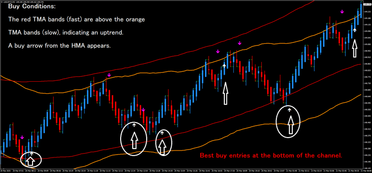 Double TMA Renko Scalping Strategy