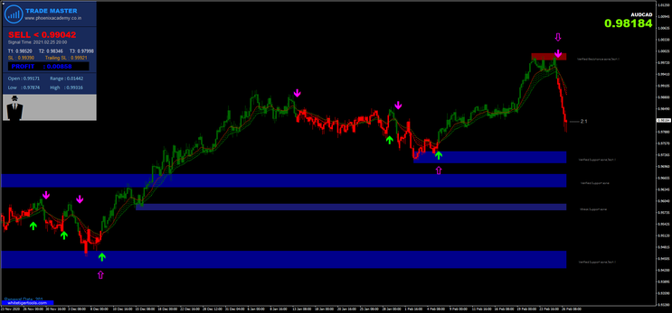 Trade Master with Supply  Demand