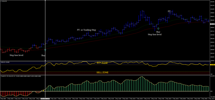 Win Gold Trading System