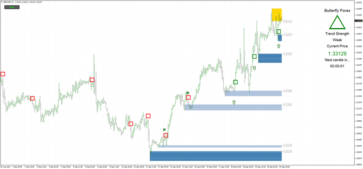  The Butterfly Forex System