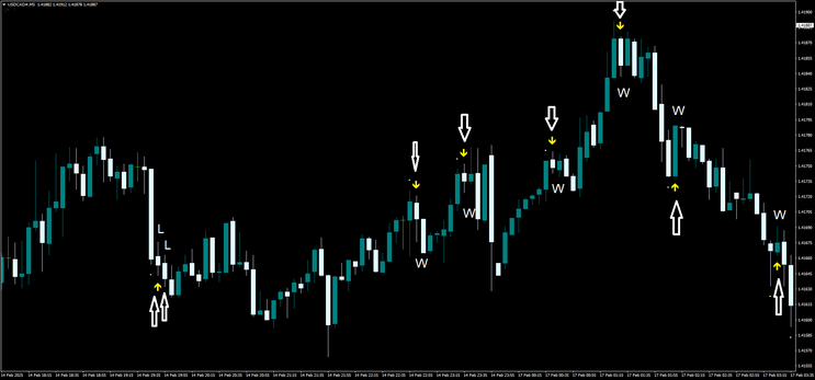 RSI Reversal Arrow Binary Strategy