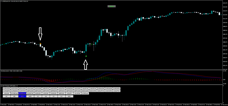 RSI Arrow with MACD Strategy for MT4