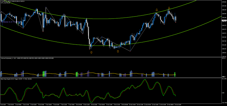 Binary Forex System for Spot Markets 