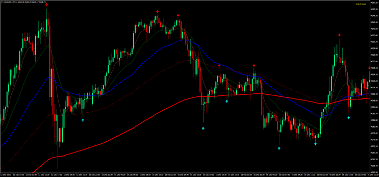 Wave Rider Forex Strategy