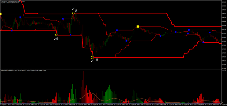 Double Donchian Channel -Trend and Reverse-