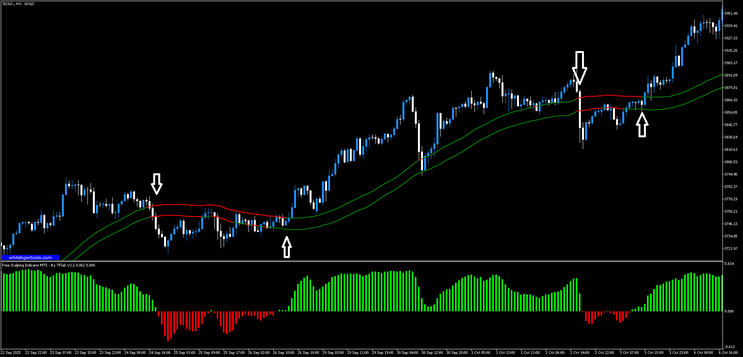 Dynamic Line  Strategy with Free Scalping Indicator MT5