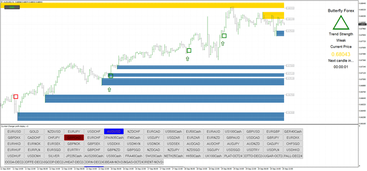  The Butterfly Forex System