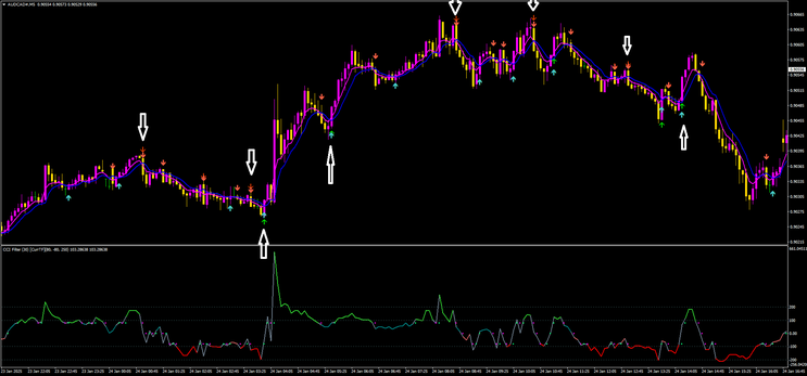 Binary Shark Trading System
