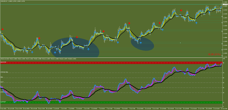 Papaya Confluence Forex System