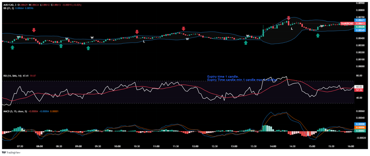 Trend Reversal Binary Trading Strategy