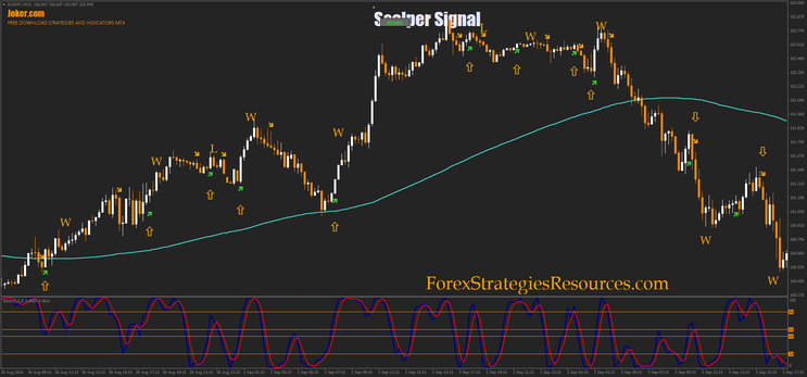 Scalper Signal trade with the trend