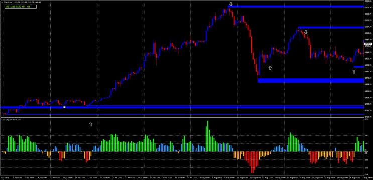 CCI NUF with Price Action