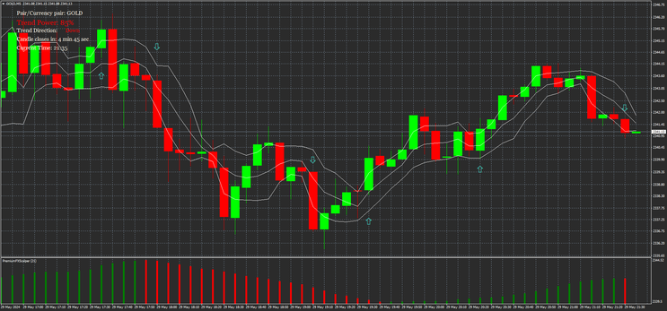 FX Scalper Binary and Scalping Stratyegy
