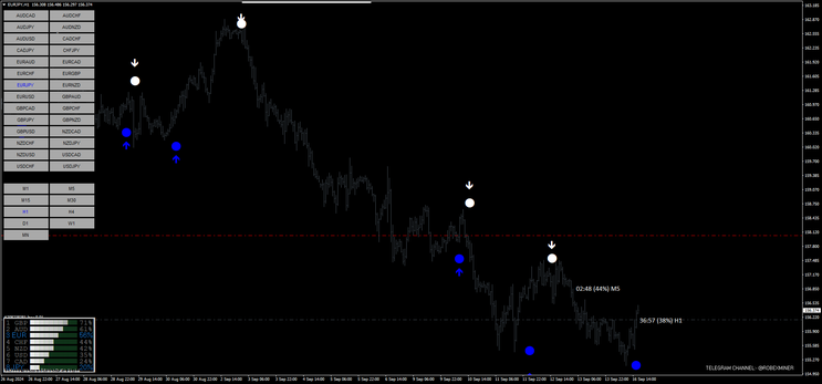 Forex Vector Trading System MT4