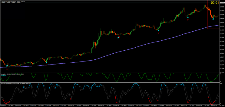 Nerpa  for Scalping, Day trading