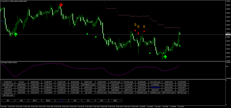 New YMS Scalper Template