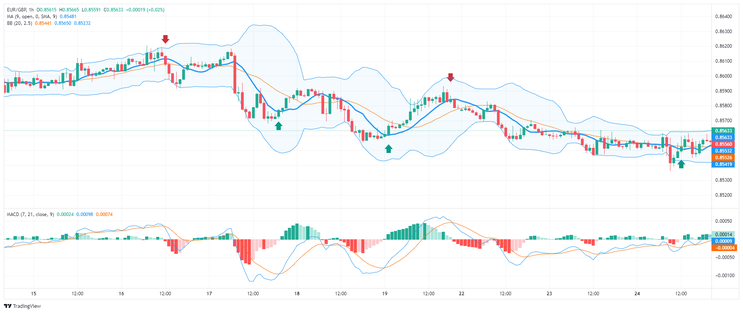 Neptune Reversal Momentum Forex Strategy