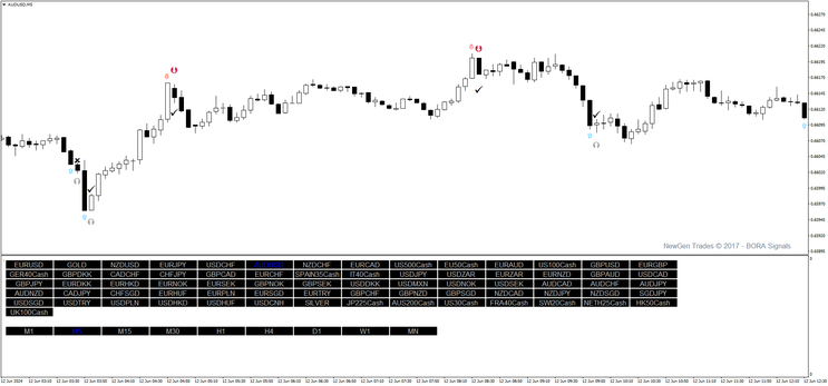 NewGen Trades Bynary Options Indicator