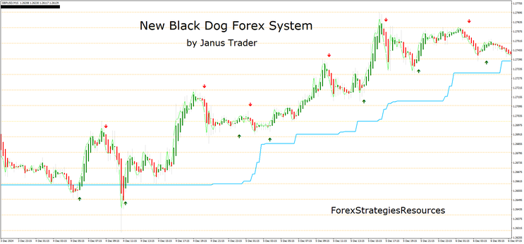 New Black Dog Trading  System