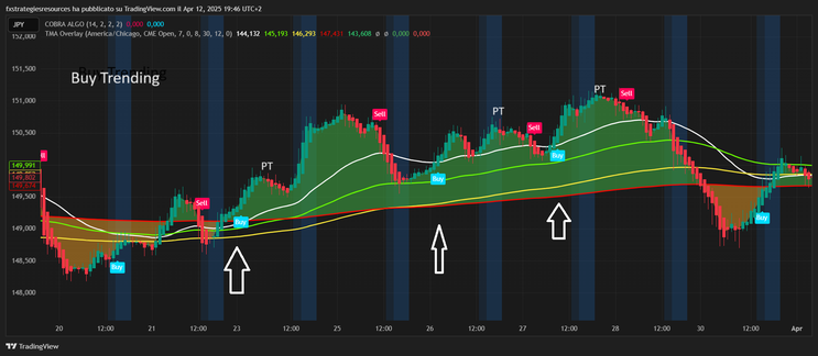Cobra Algo +TMA Overlay Trading Strategy