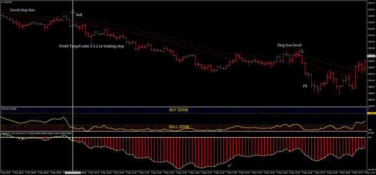 Win Gold Trading System