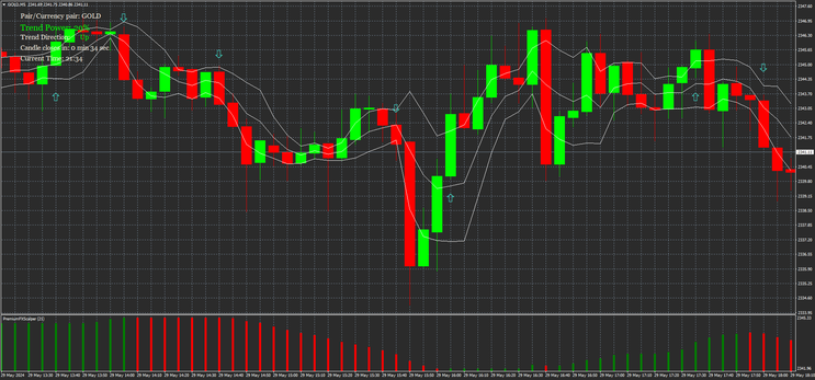 FX Scalper Binary and Scalping Stratyegy