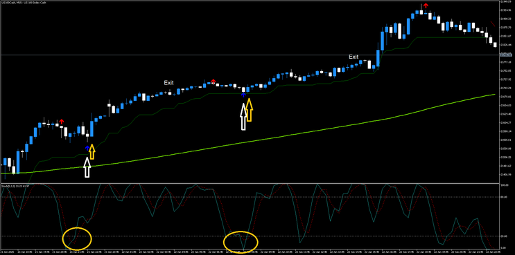 Spike Detector and Stochastic Destroy the Market MT5