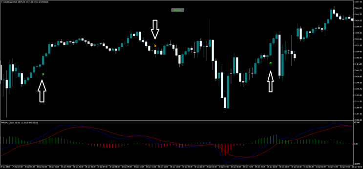 RSI Arrow with MACD Strategy for MT4