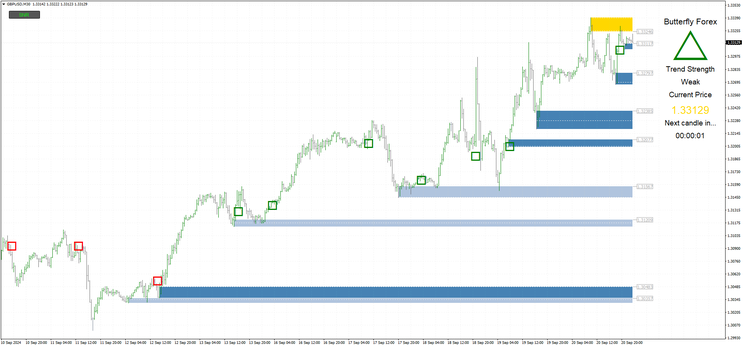  The Butterfly Forex System