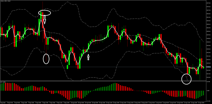 Neptune Trading System