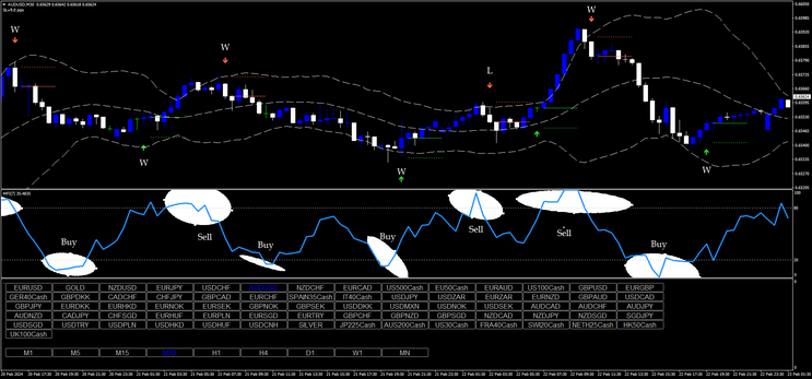 Money Flow Reversal Strategy