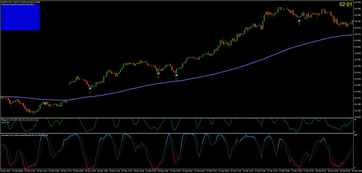 Nerpa  for Scalping, Day trading