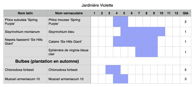 Composition possible pour une jardinière de fleurs violettes