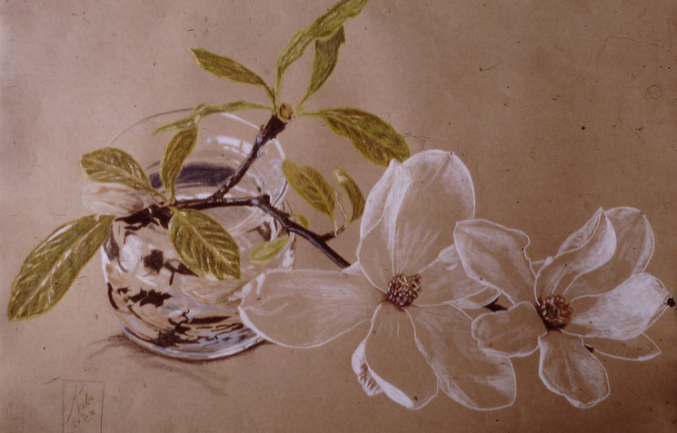 Still life on Ingrès paper with Polychromes pencil (1986)
