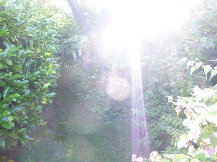 Morgengruß, Quelle: www.lichtwesenfotografie.com