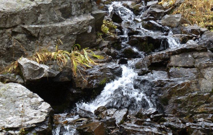 One bit of the falls near Williams Lake
